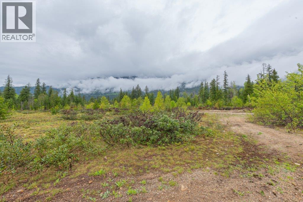 4103 Balsam Way, Malakwa, BC