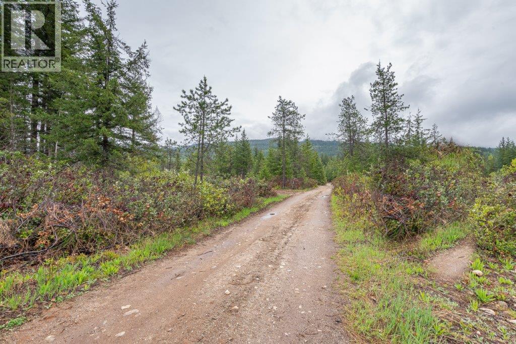 4103 Balsam Way, Malakwa, BC