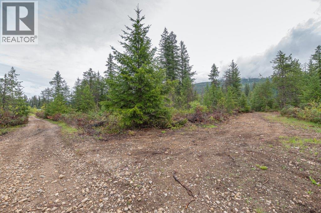 4103 Balsam Way, Malakwa, BC