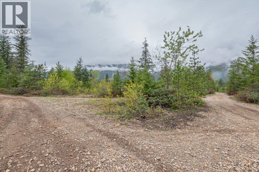 4103 Balsam Way, Malakwa, BC