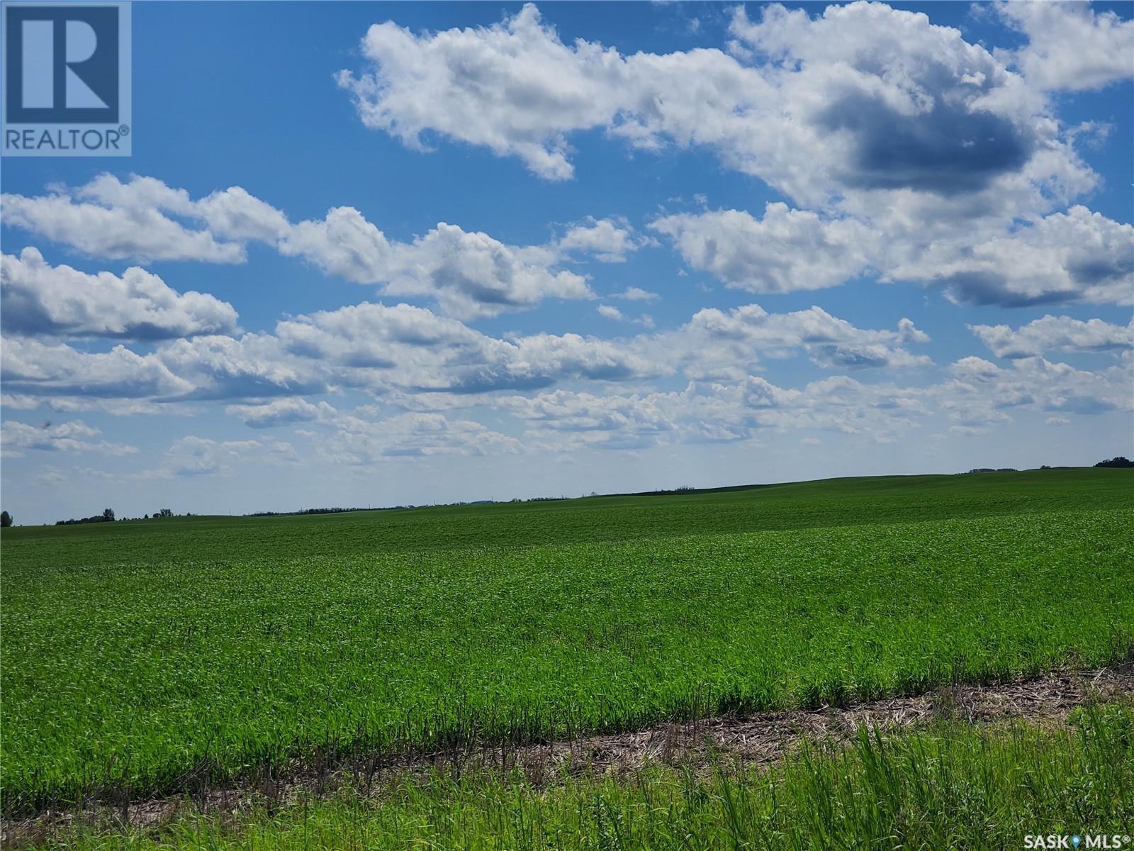 Grayson 9 Quarter Farm, Grayson Rm No. 184, SK