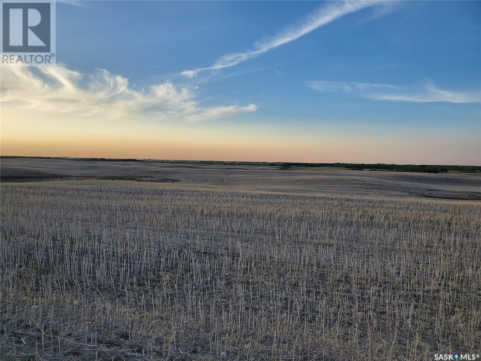 Grayson 9 Quarter Farm, Grayson Rm No. 184, SK