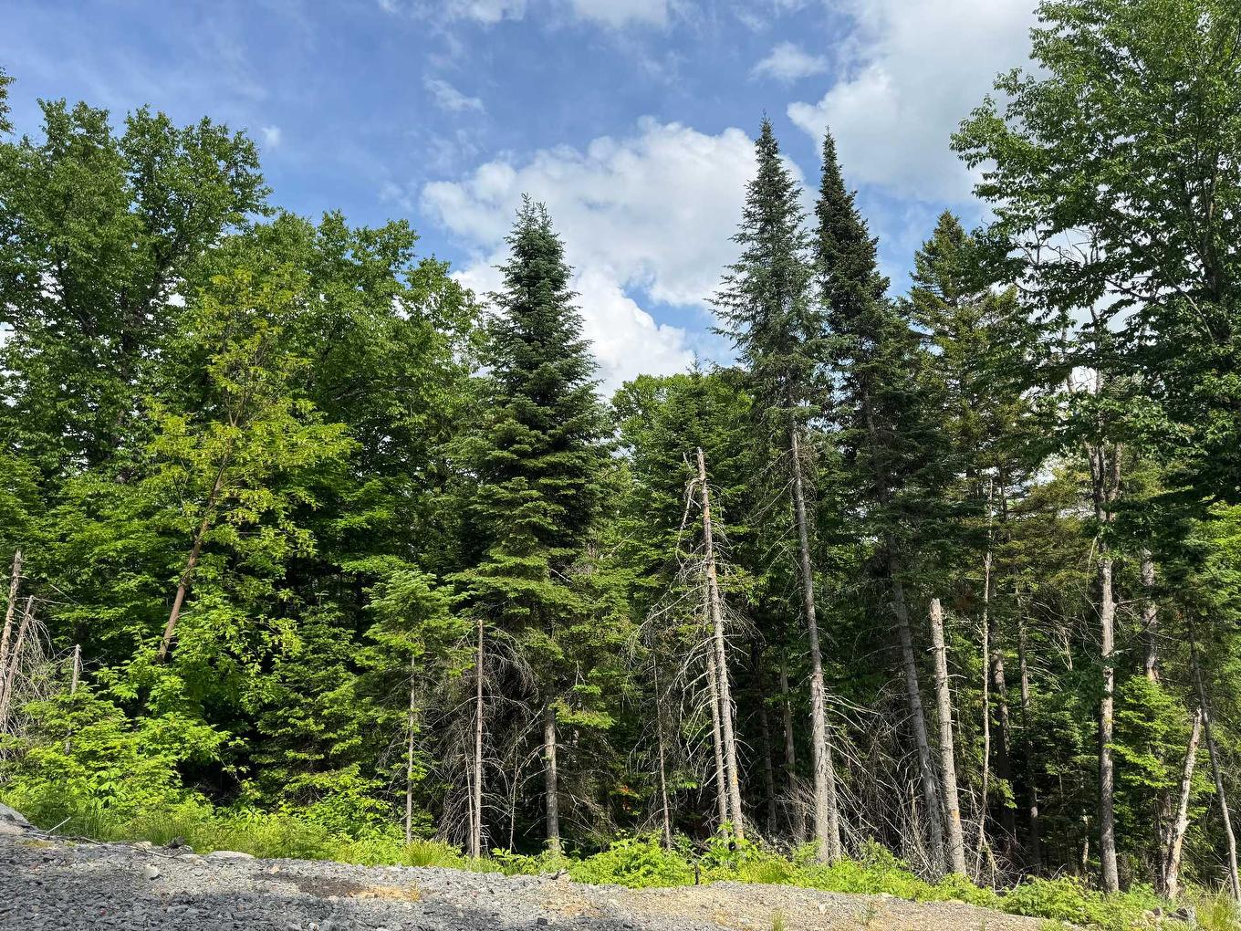 Façade - Rue De La Forêt, Sainte-Marguerite-Du-Lac-Masson, QC