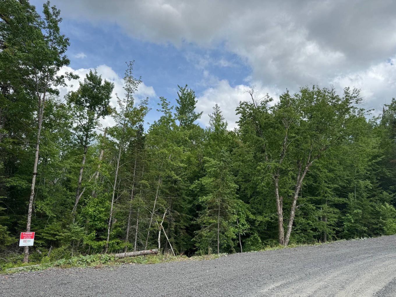 Façade - Rue De La Forêt, Sainte-Marguerite-Du-Lac-Masson, QC
