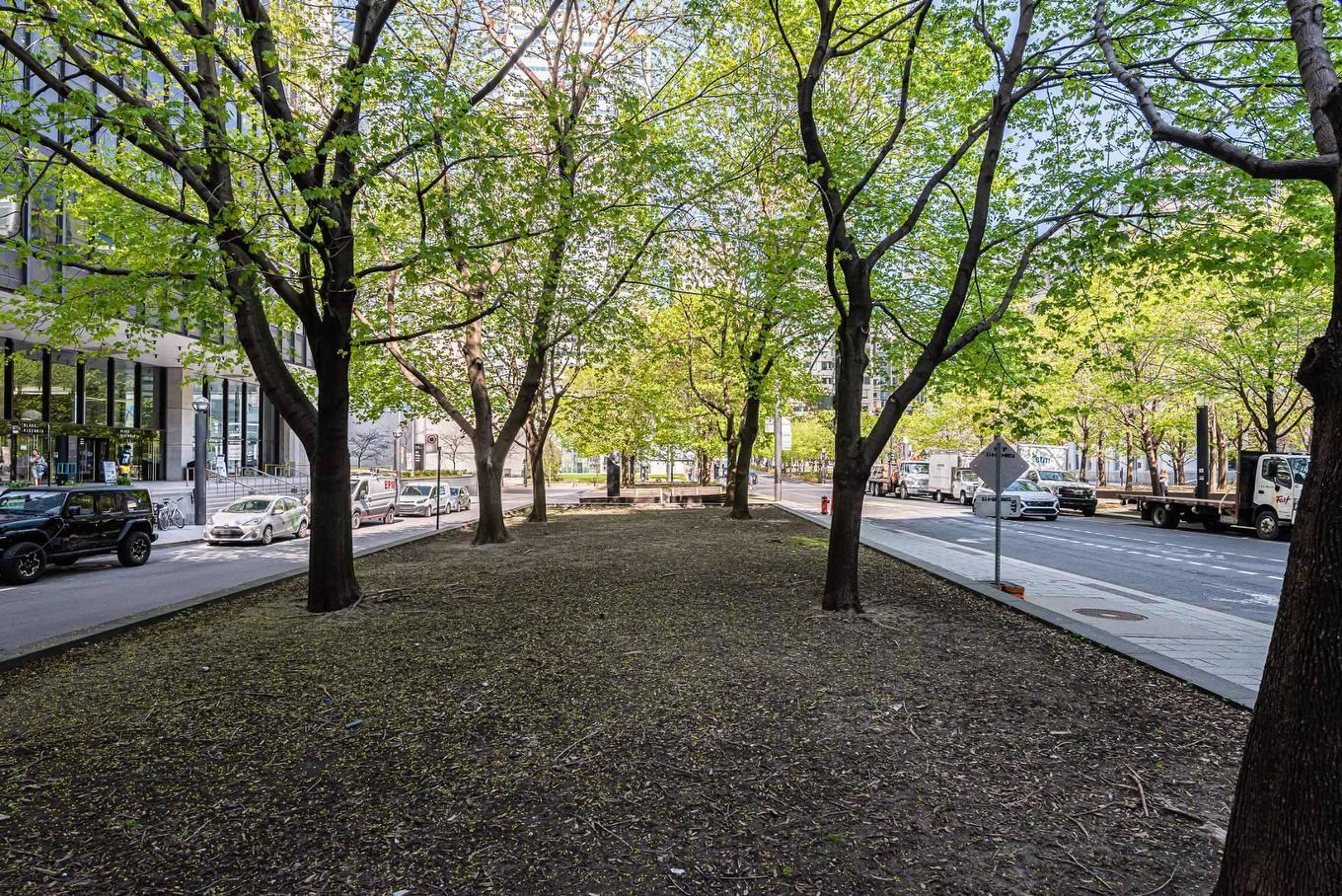 Street - 2003-628 Rue St-Jacques, Montréal (Ville-Marie), QC - Outdoor With View