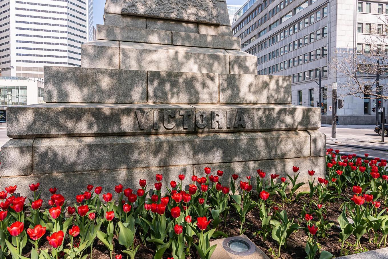 Street - 2003-628 Rue St-Jacques, Montréal (Ville-Marie), QC -