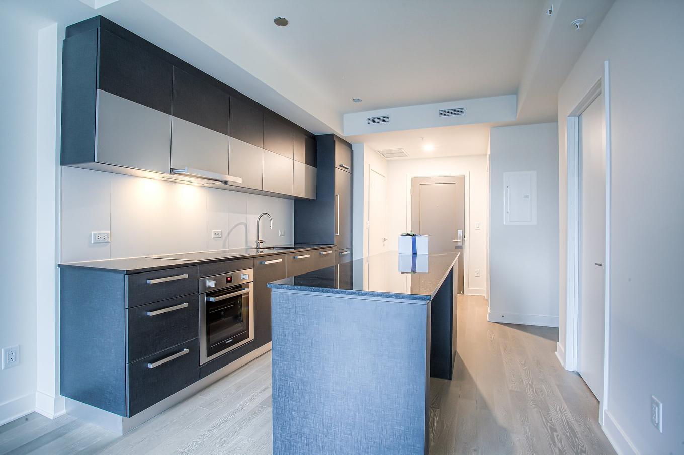 Kitchen - 2003-628 Rue St-Jacques, Montréal (Ville-Marie), QC - Indoor Photo Showing Kitchen