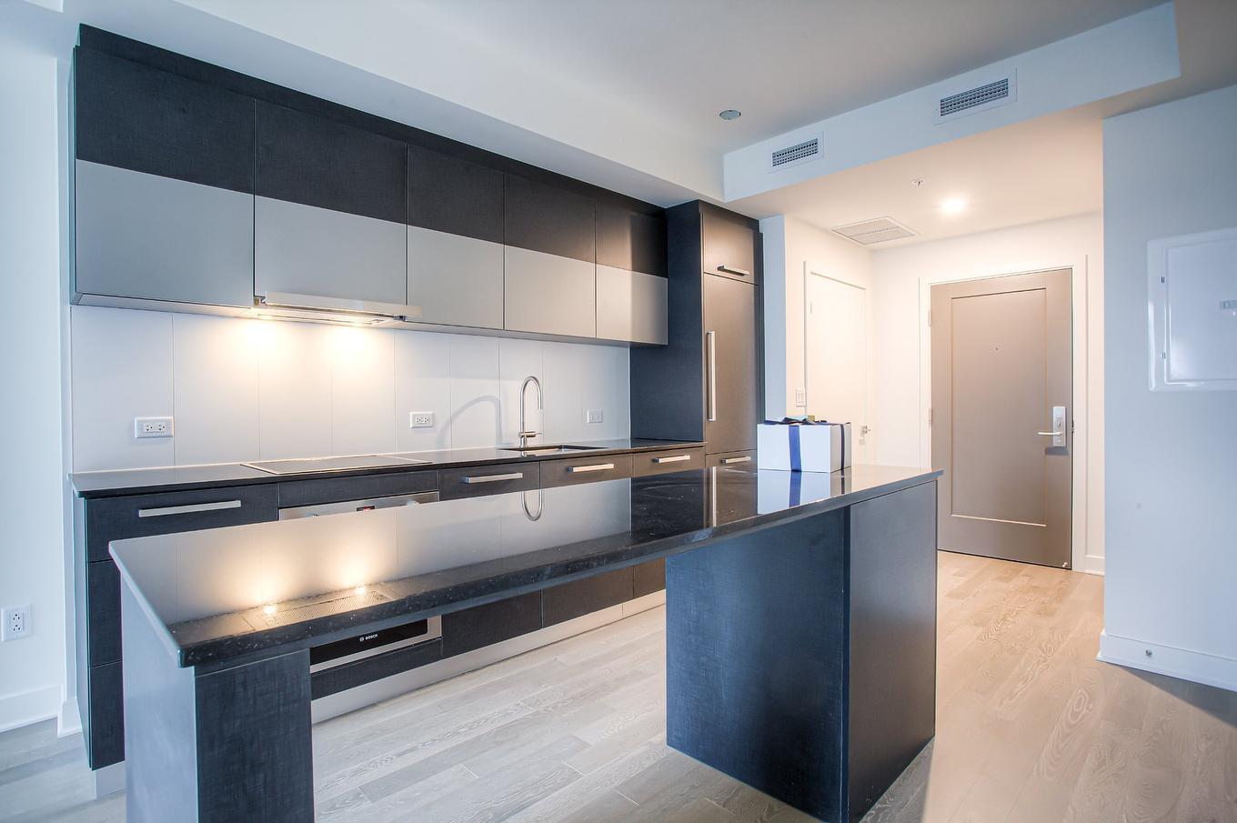 Kitchen - 2003-628 Rue St-Jacques, Montréal (Ville-Marie), QC - Indoor Photo Showing Kitchen With Upgraded Kitchen