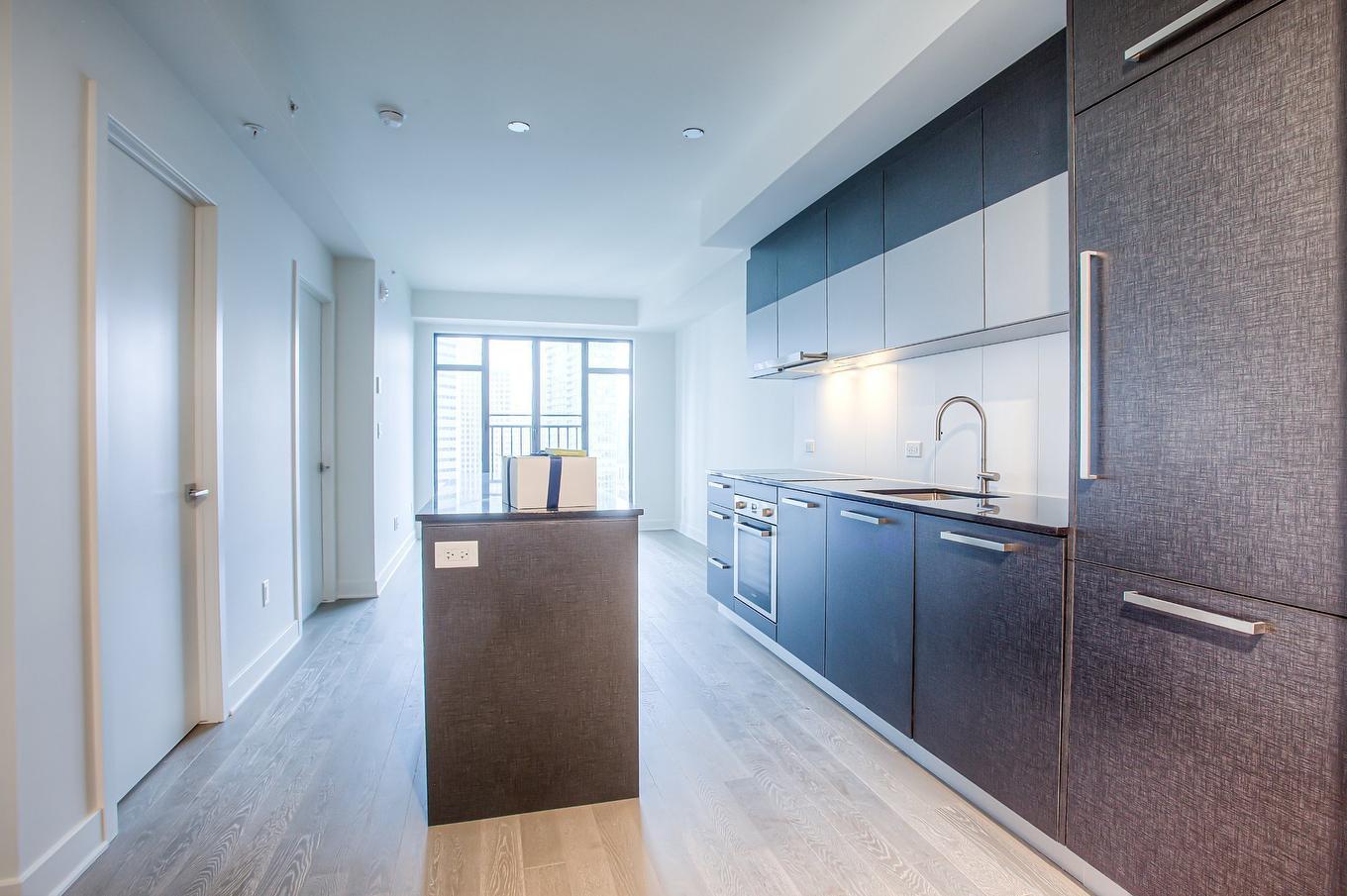 Kitchen - 2003-628 Rue St-Jacques, Montréal (Ville-Marie), QC - Indoor Photo Showing Kitchen With Upgraded Kitchen