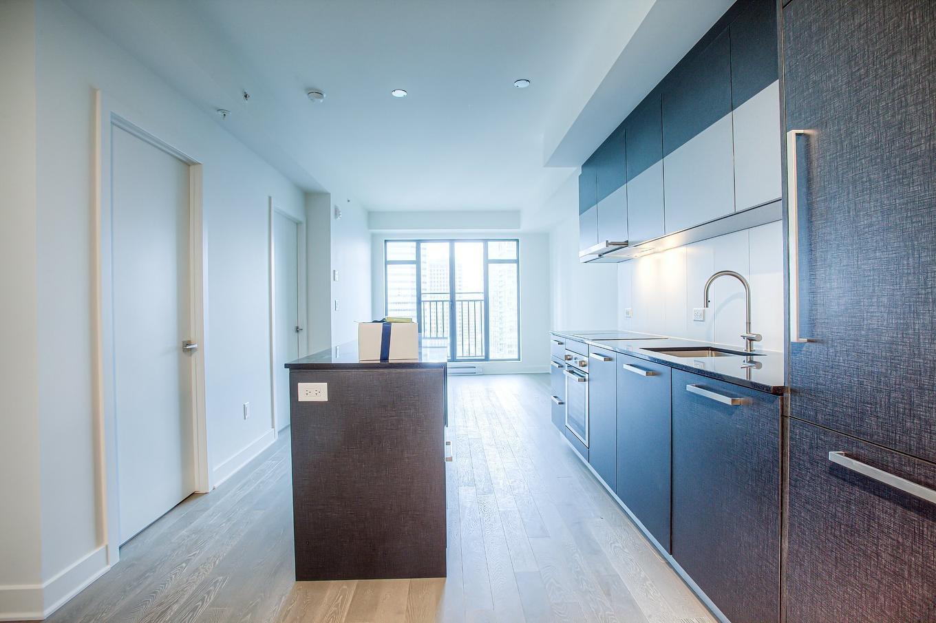 Kitchen - 2003-628 Rue St-Jacques, Montréal (Ville-Marie), QC - Indoor Photo Showing Kitchen With Upgraded Kitchen