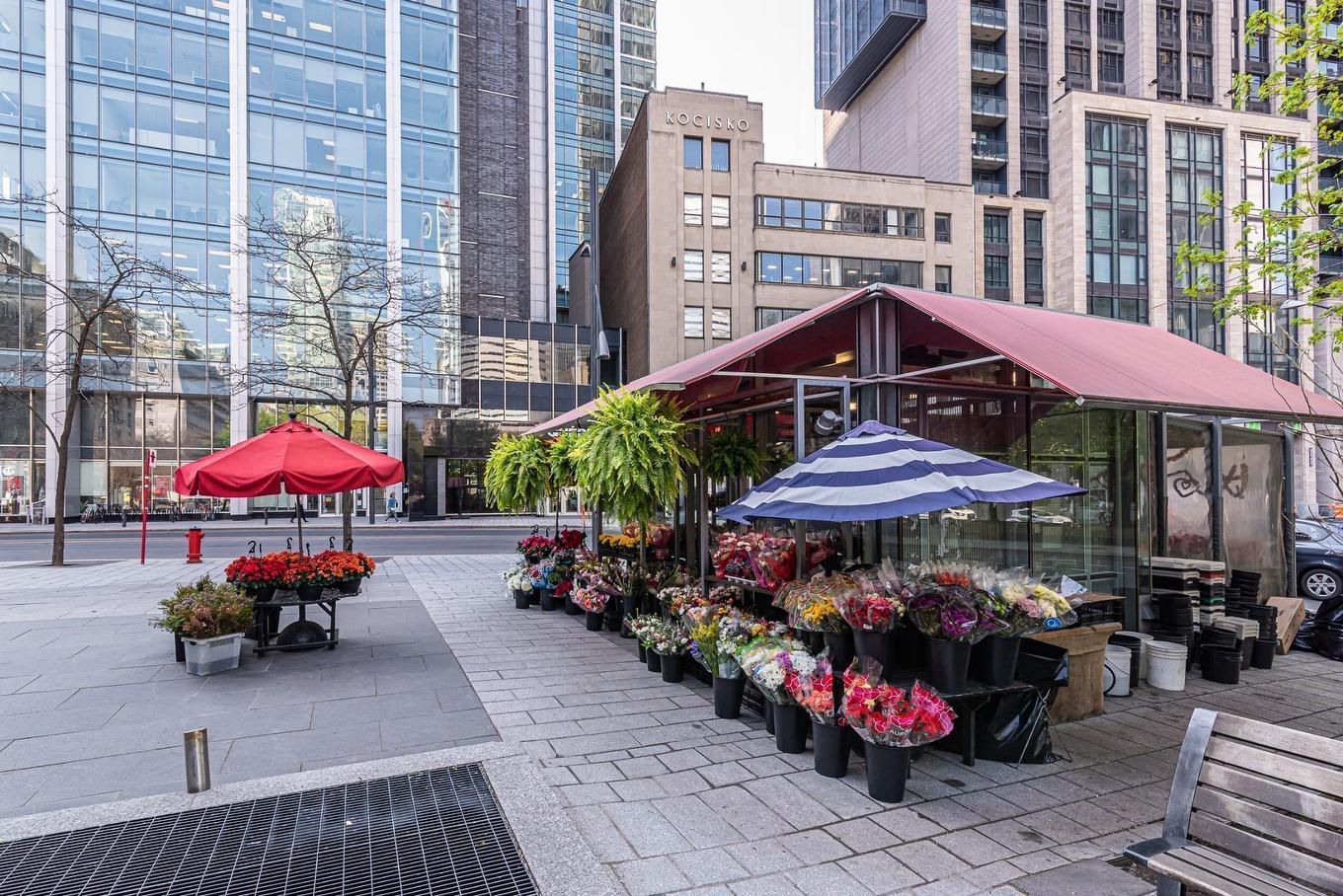 Extérieur - 2708-720 Rue St-Jacques, Montréal (Ville-Marie), QC - Outdoor With Deck Patio Veranda