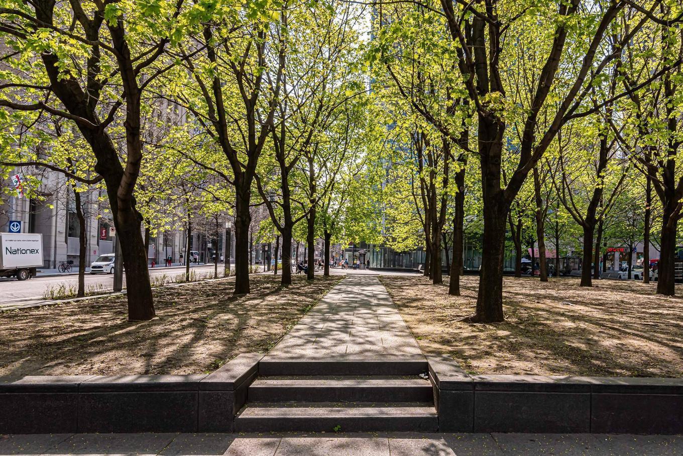 Extérieur - 3508-720 Rue St-Jacques, Montréal (Ville-Marie), QC - Outdoor