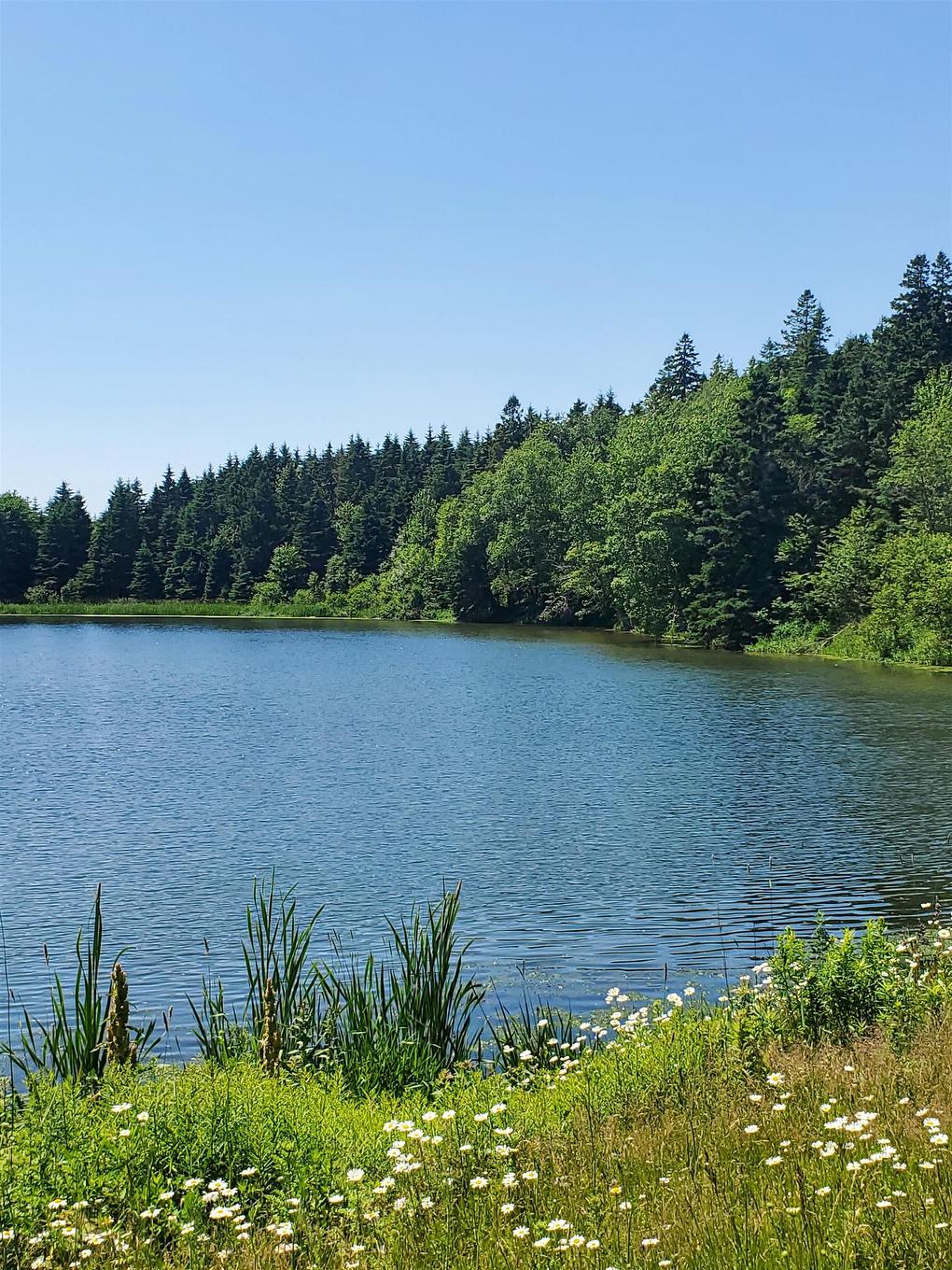 Lot 13 Mapleridge Road, North Granville, PE