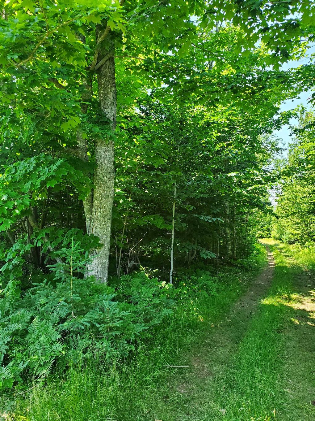 Lot 13 Mapleridge Road, North Granville, PE