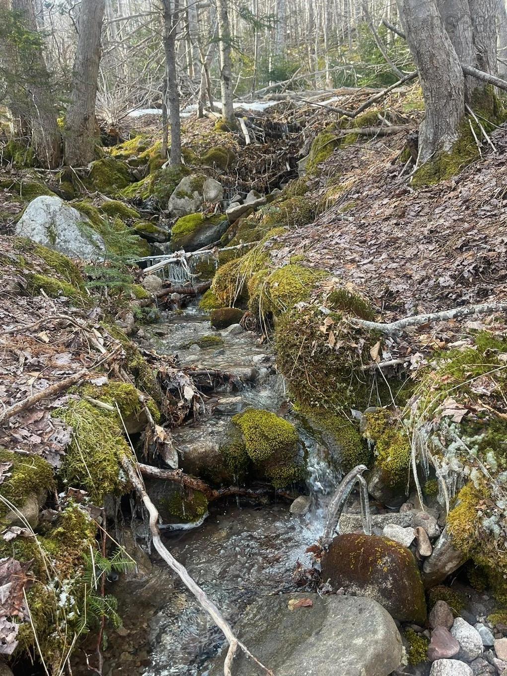 Transcanada 105, Bucklaw, NS