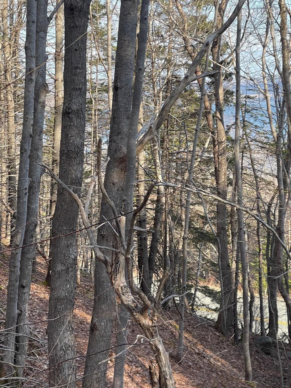 Transcanada 105, Bucklaw, NS