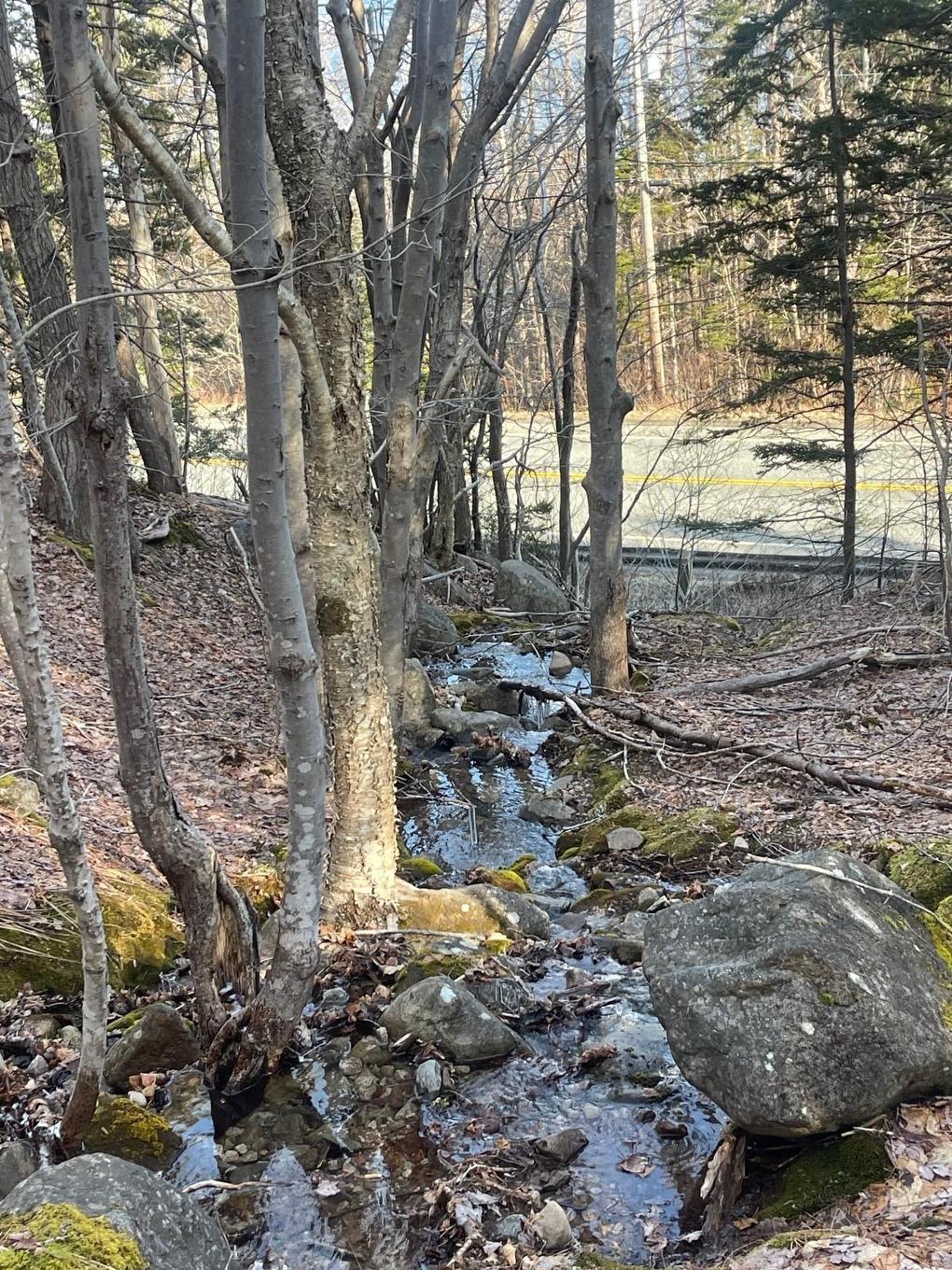 Transcanada 105, Bucklaw, NS