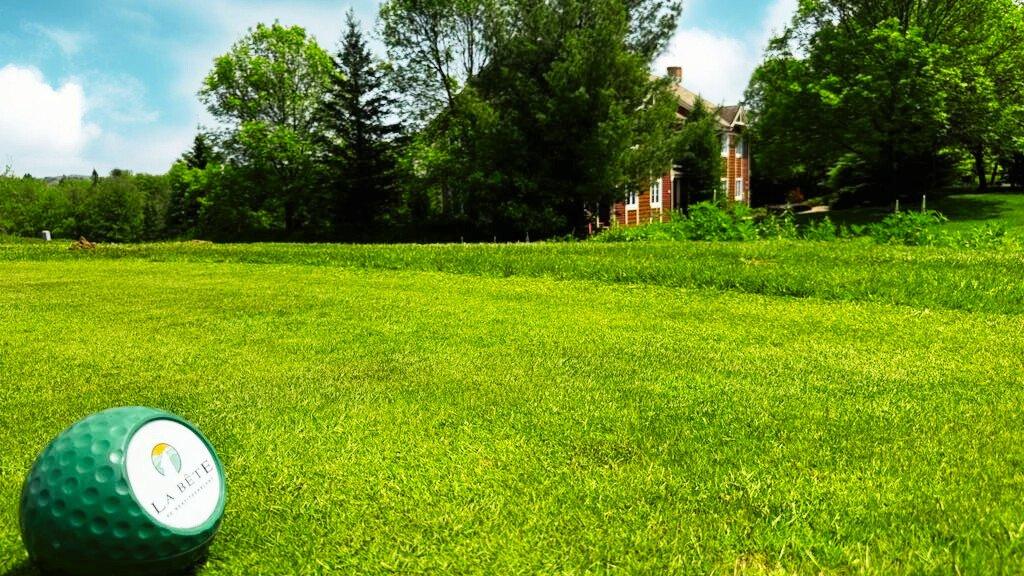 Backyard - 1822 Ch. Du Golf, Mont-Tremblant, QC - Outdoor