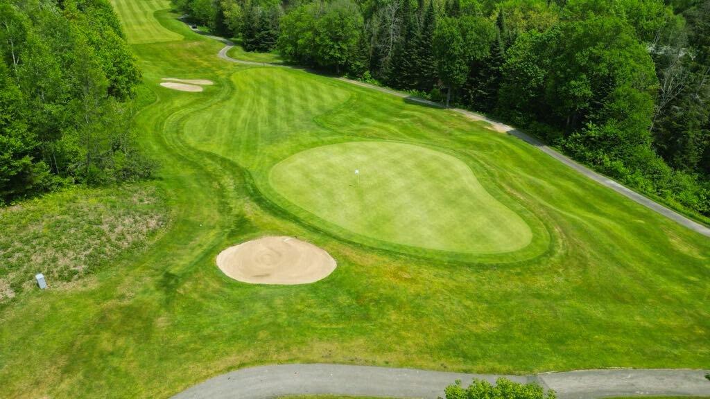 Backyard - 1822 Ch. Du Golf, Mont-Tremblant, QC - Outdoor