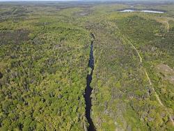 Lot 45 Private Road Guysborough County, NS B0H 1N0