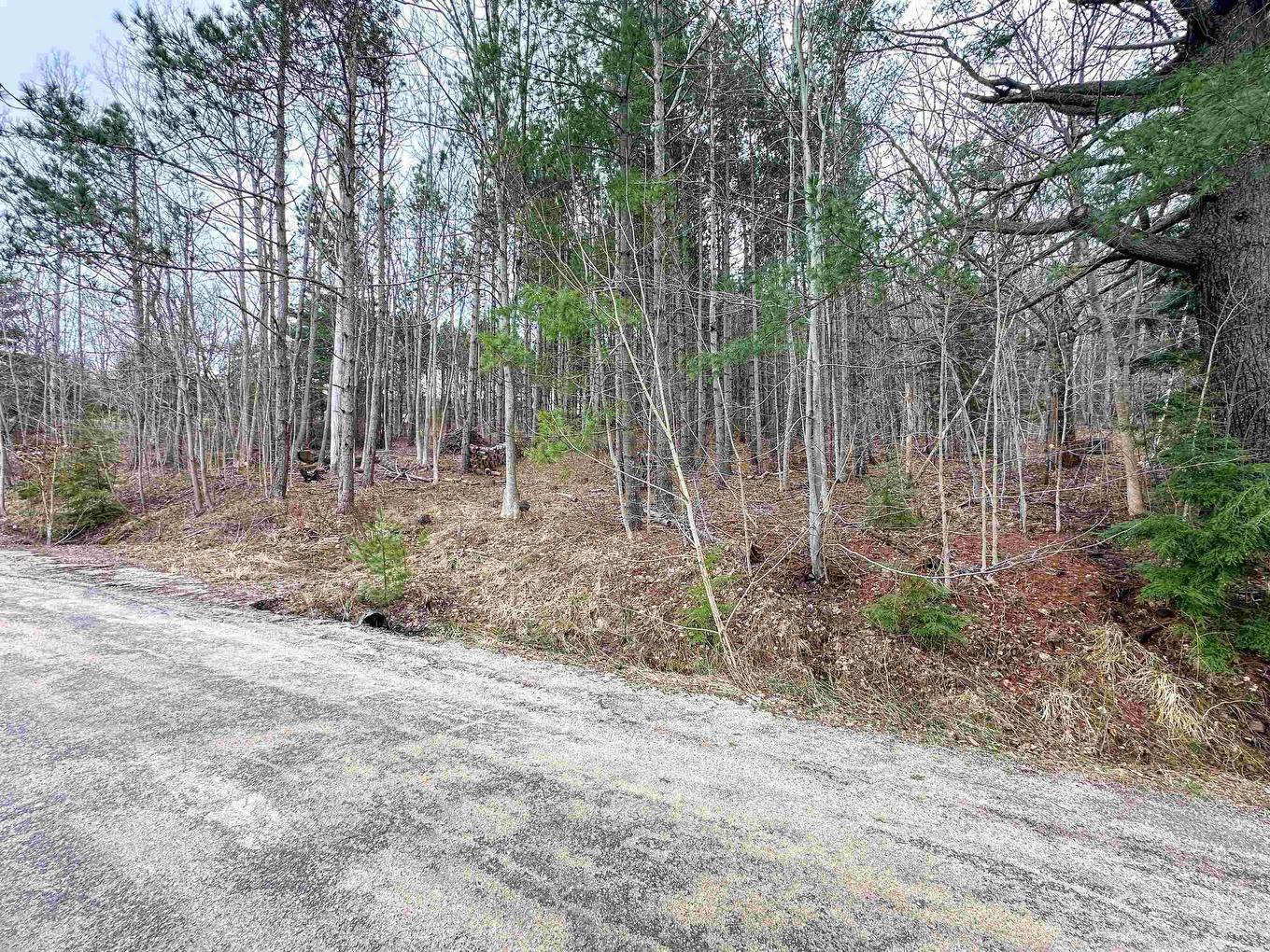 Lot Harlow Road, Conquerall Bank, NS