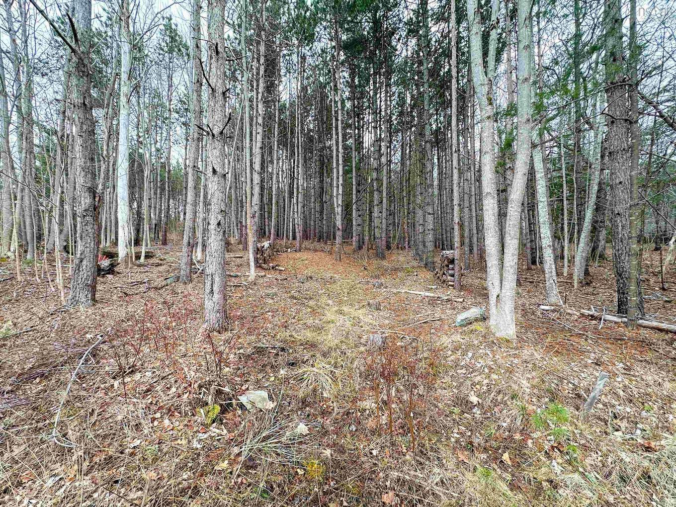 Lot Harlow Road, Conquerall Bank, NS