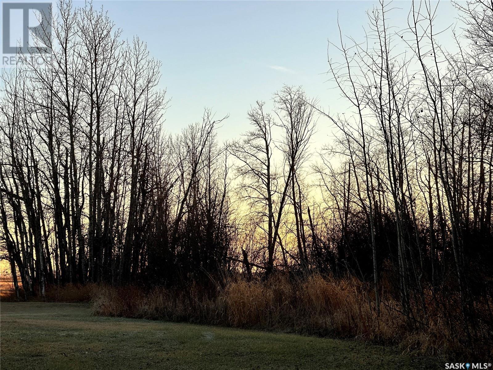 Will Ag-Ventures Acreage, Clayton Rm No. 333, SK - Outdoor With View