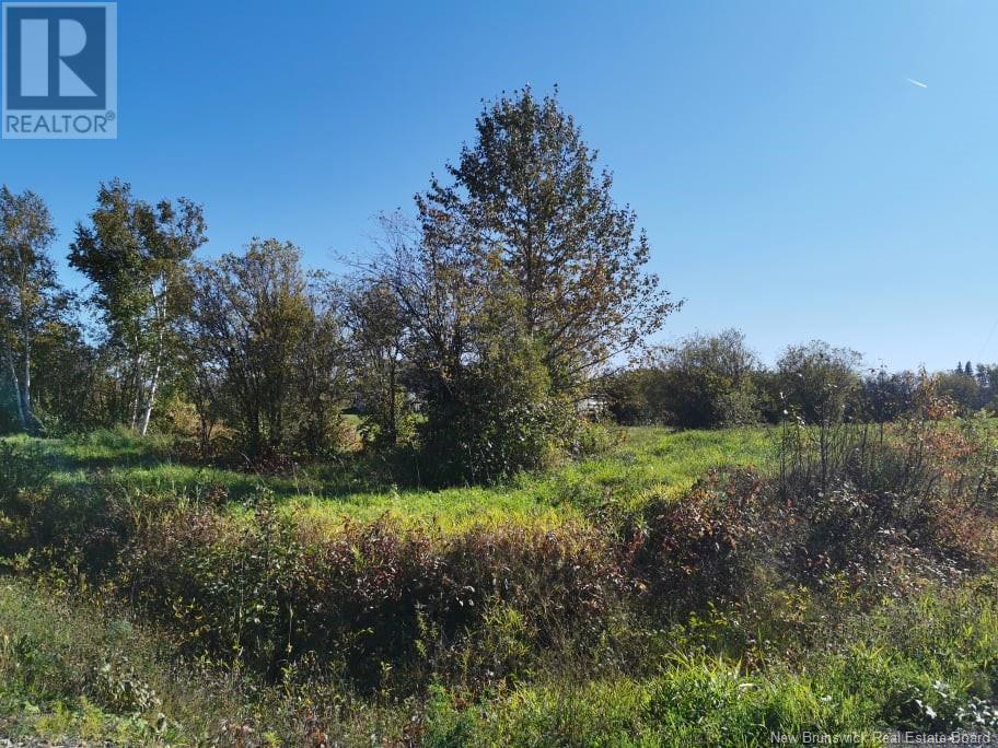 Lot 23 Bellevue Street, Charlo, NB
