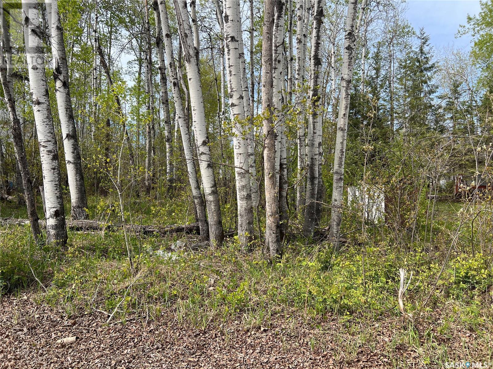 448 Cougar Road, Greenwater Provincial Park, SK