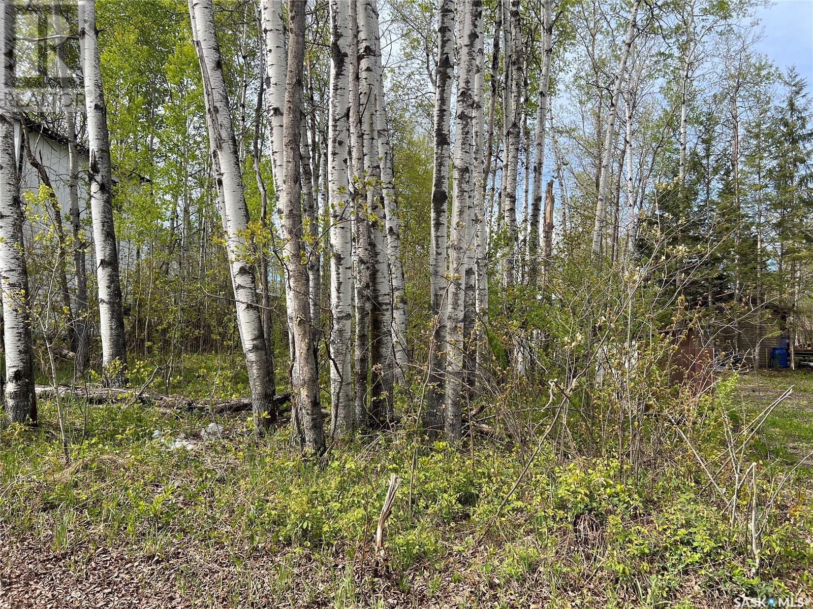 448 Cougar Road, Greenwater Provincial Park, SK