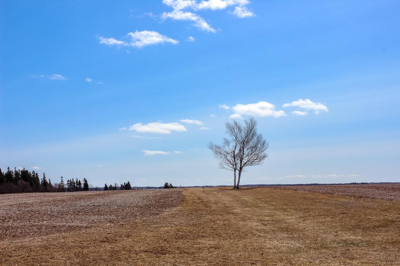 Route 17, Murray Harbour North, PE