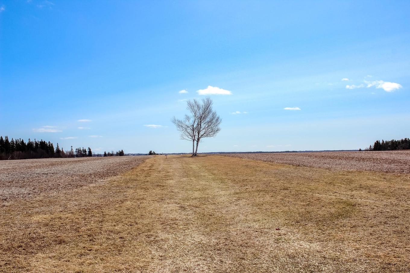 Route 17, Murray Harbour North, PE