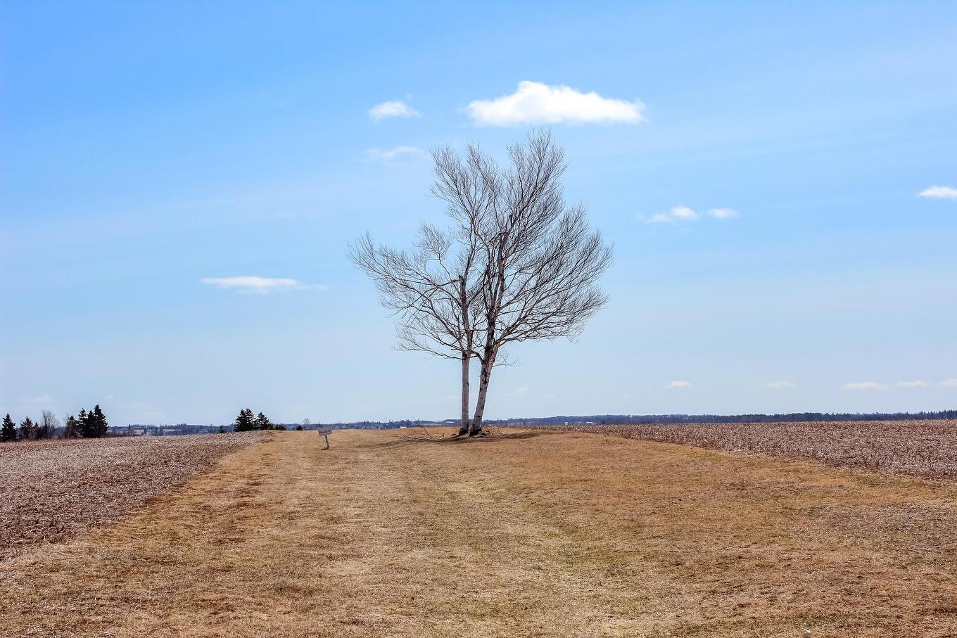 Route 17, Murray Harbour North, PE