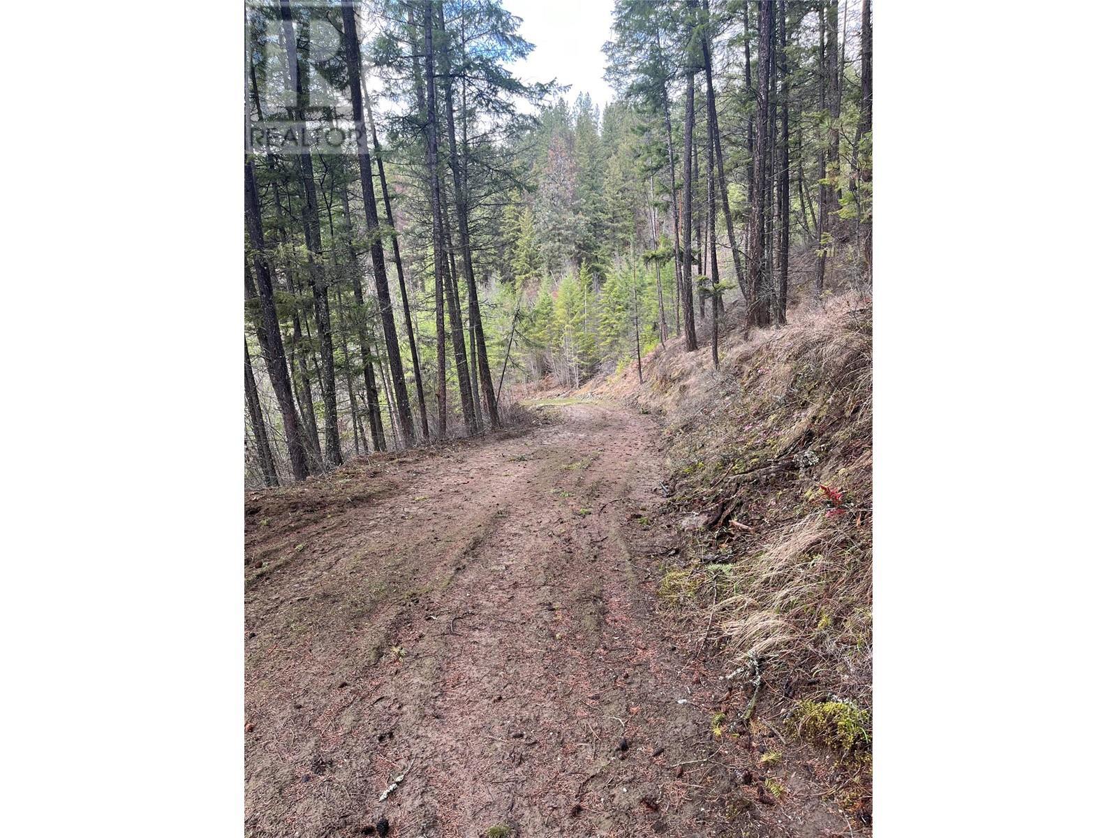 Lot 128 Broadwater Road, Castlegar, BC