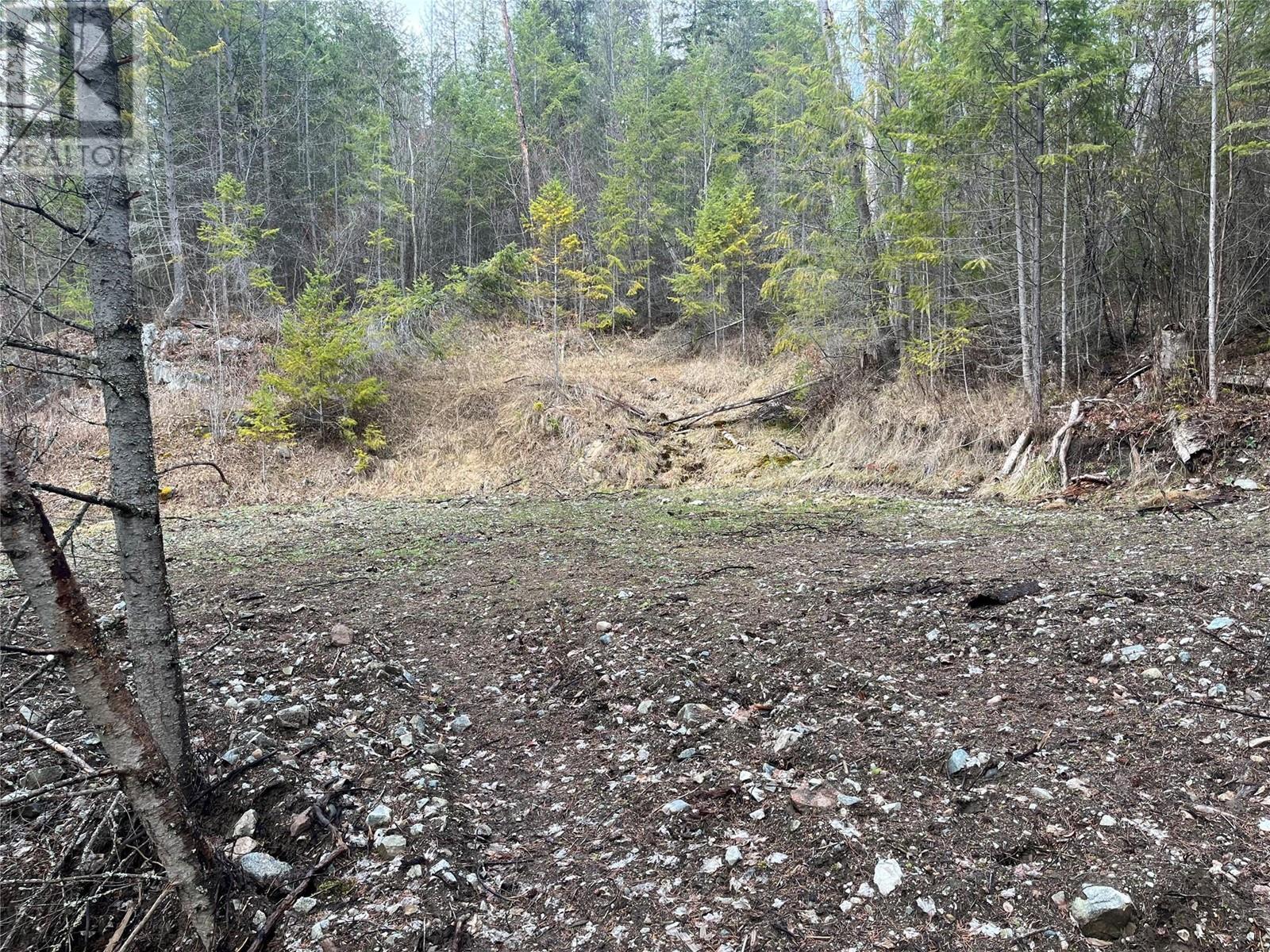 Lot 128 Broadwater Road, Castlegar, BC