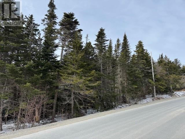 0 Saddle Hill, Carbonear, NL