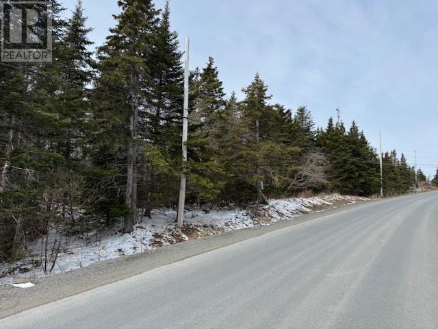 0 Saddle Hill, Carbonear, NL