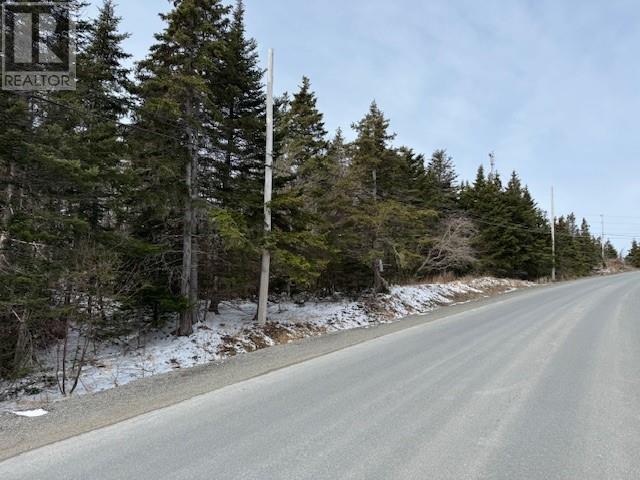 0 Saddle Hill, Carbonear, NL