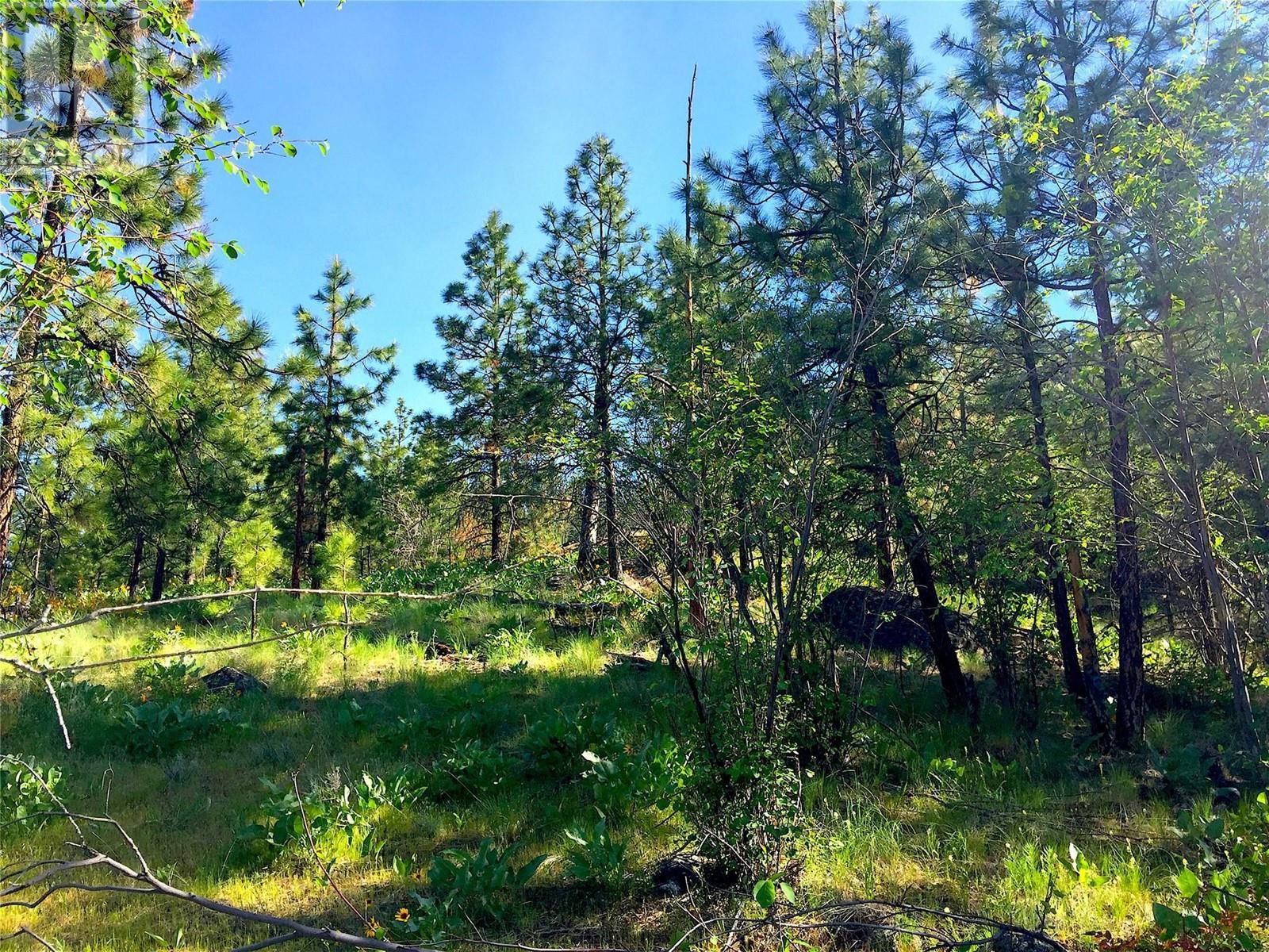 4650 North Naramata Road Unit# 9, Naramata, BC