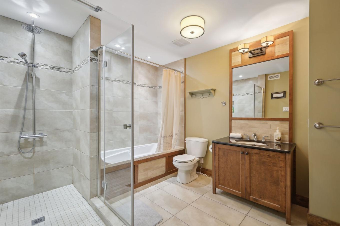 Ensuite bathroom - 3-223 Ch. Des Quatre-Sommets, Mont-Tremblant, QC - Indoor Photo Showing Bathroom