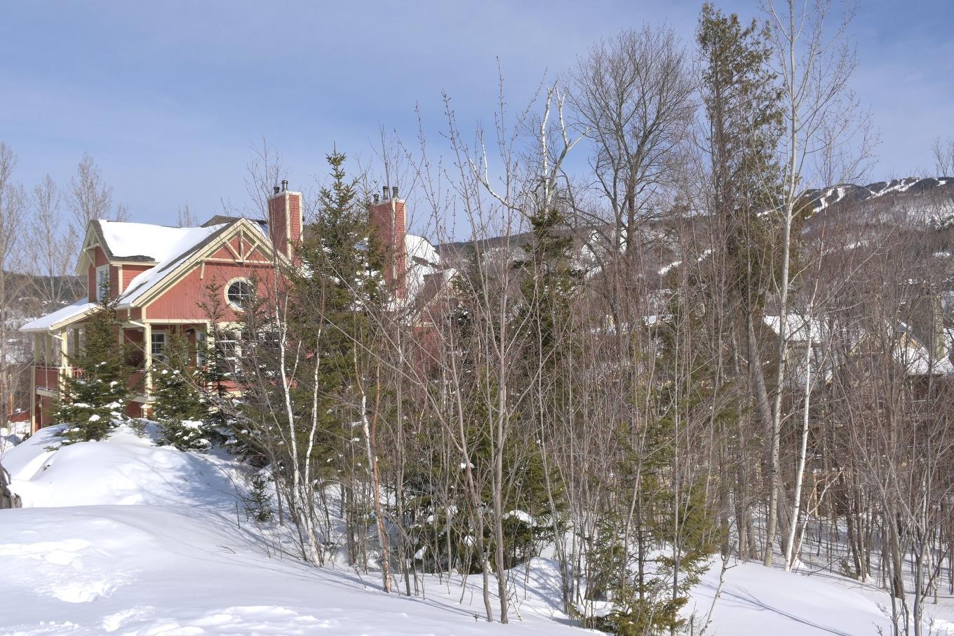 View - 3-223 Ch. Des Quatre-Sommets, Mont-Tremblant, QC - Outdoor