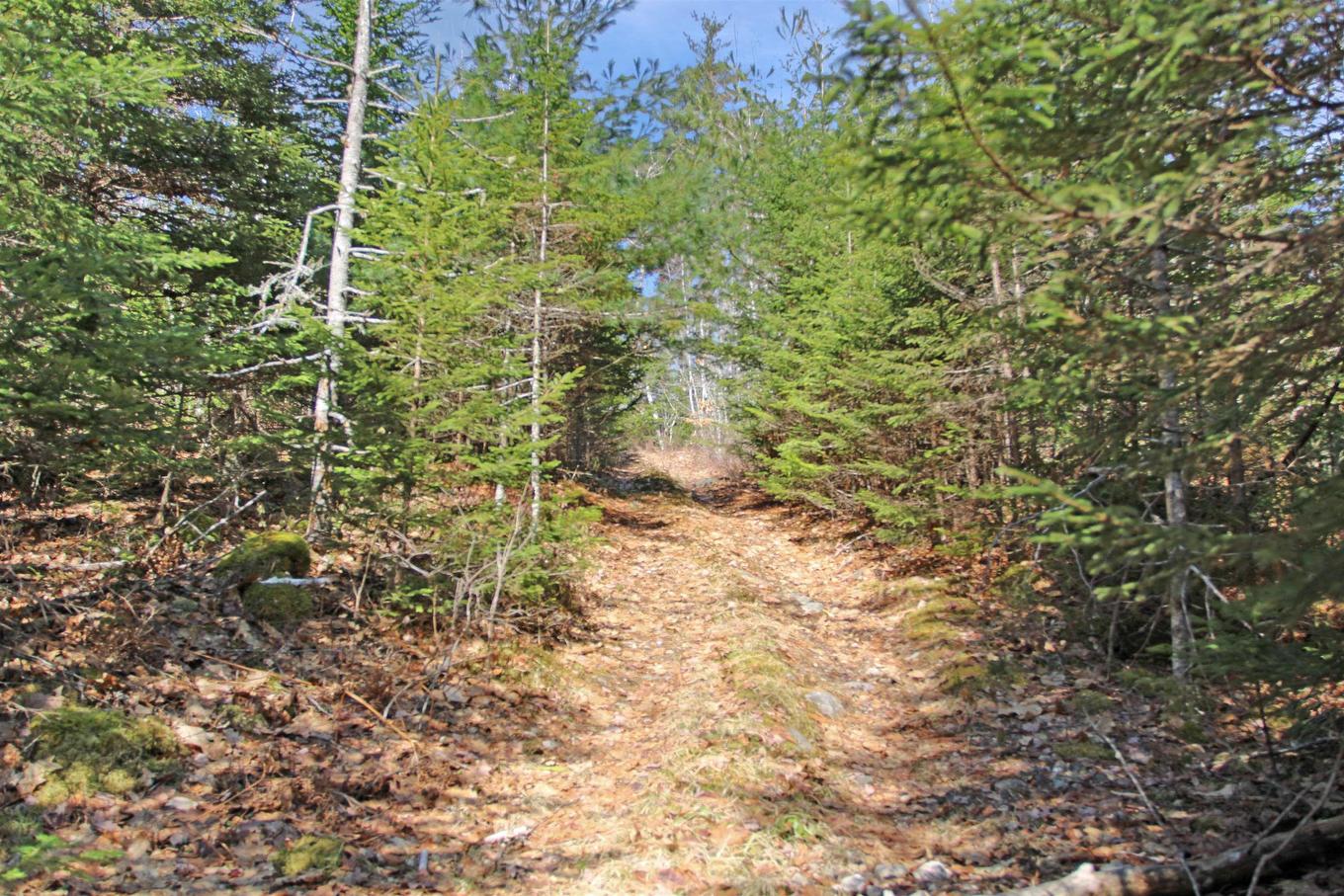 Lot 14C Woodstock Road, Walden, NS