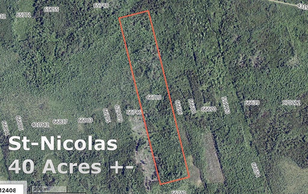 Woodlot In St. Nicolas, St. Nicholas, PE
