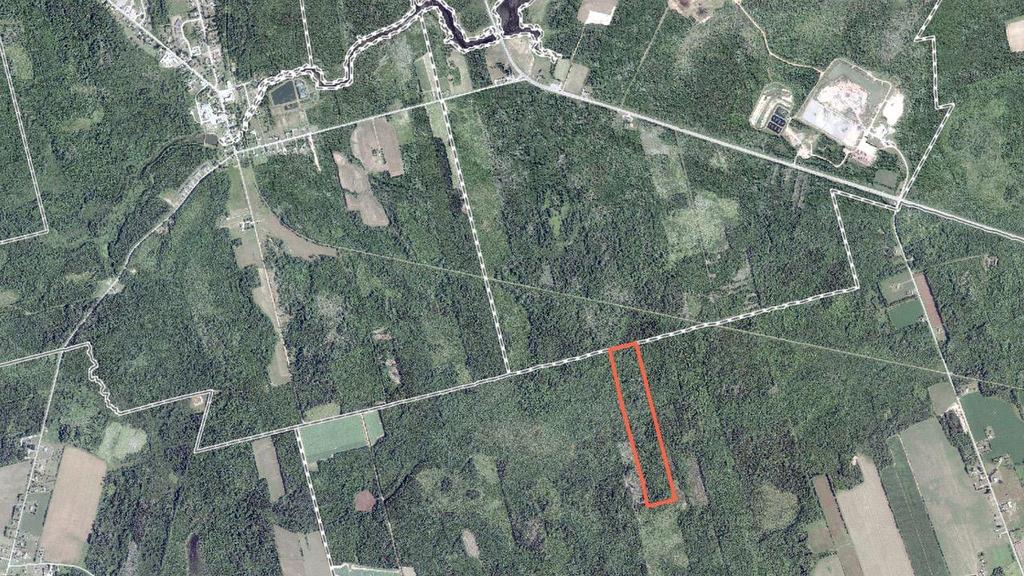 Woodlot In St. Nicolas, St. Nicholas, PE