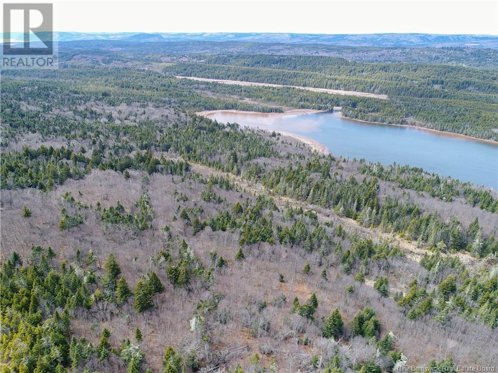 0 Route 915, Cape Enragé, NB