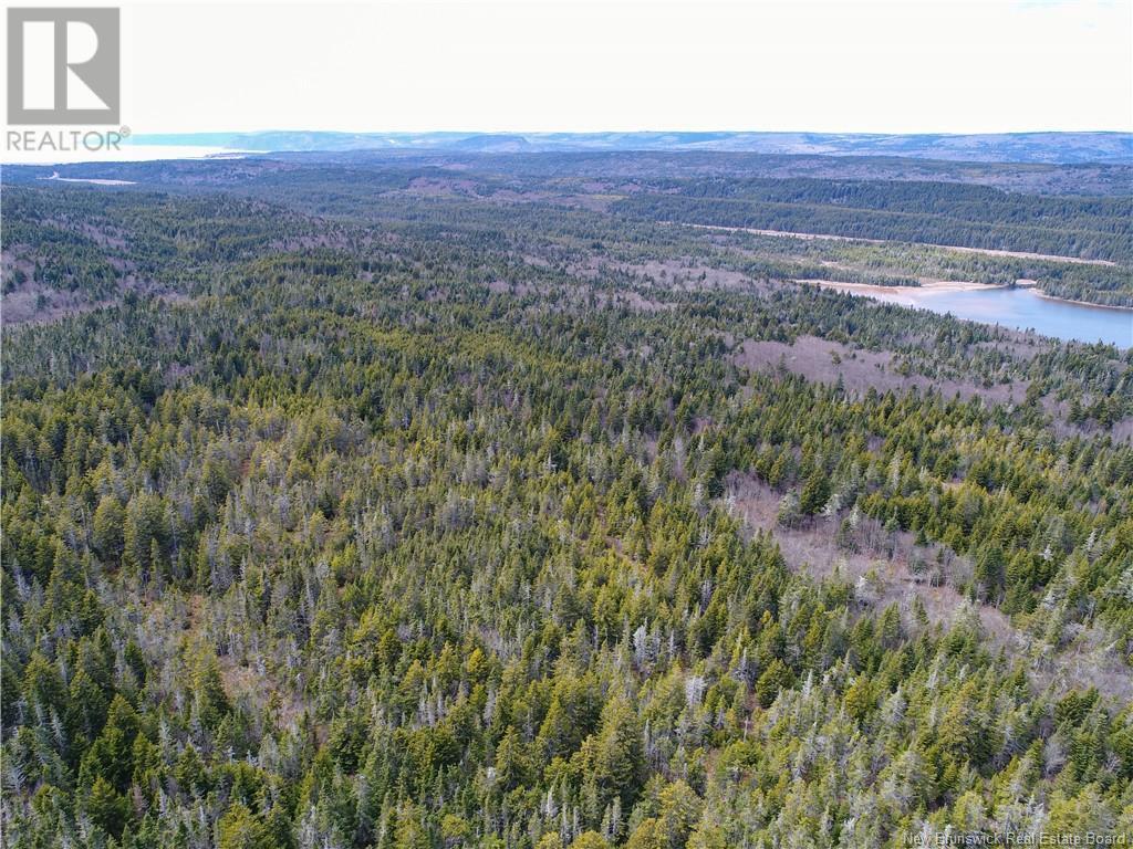 0 Route 915, Cape Enragé, NB