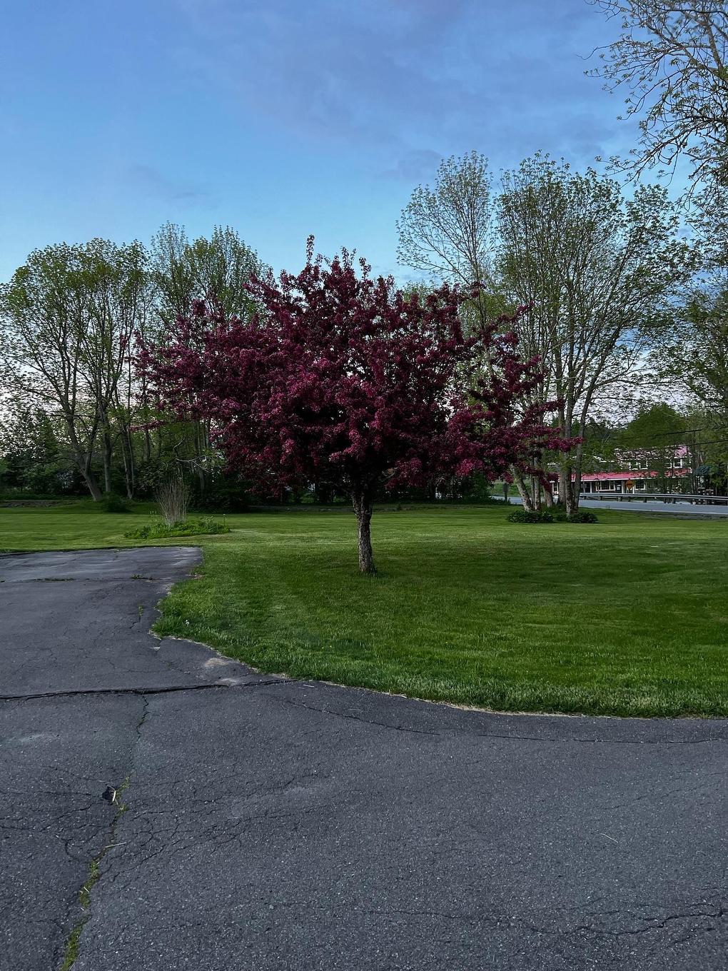 11659 Highway 16, Boylston, NS