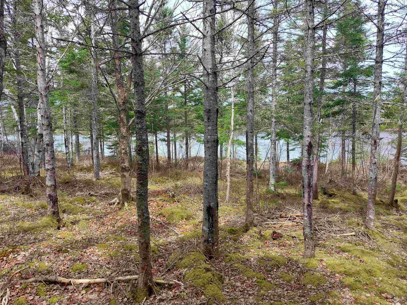 Lot 14 Jonathan R Bouman Lane, Evanston, NS