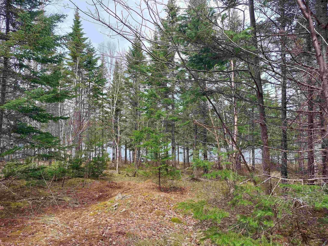 Lot 14 Jonathan R Bouman Lane, Evanston, NS