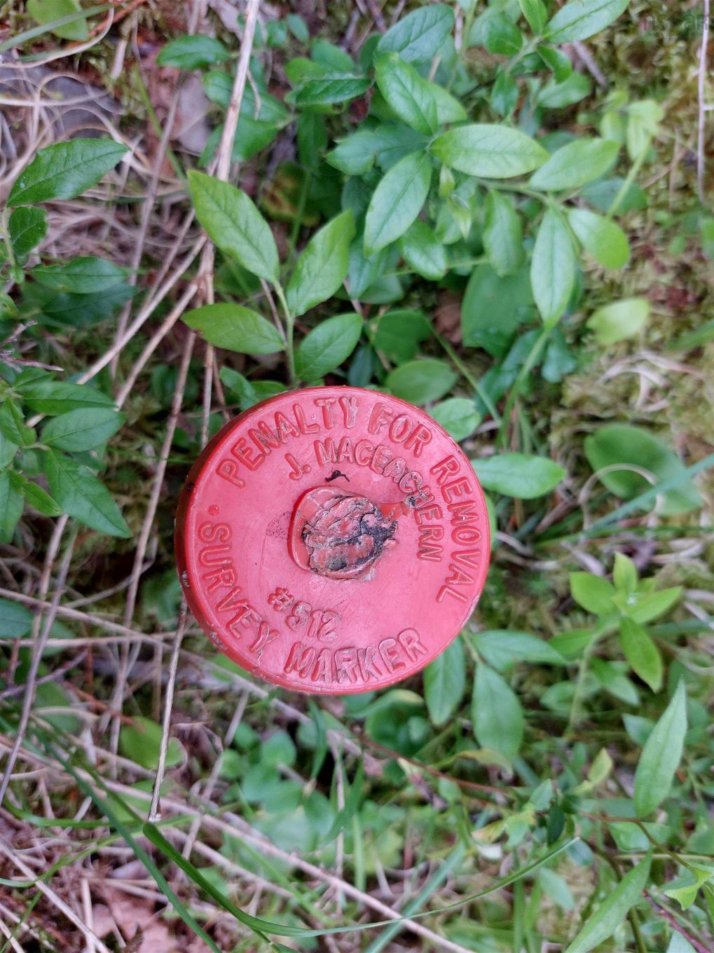 Lot 14 Jonathan R Bouman Lane, Evanston, NS